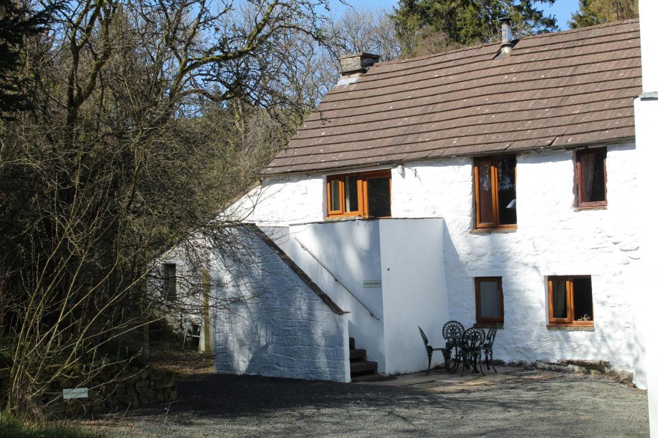 Ghyll Burn Cottage And Barn End Cottage Alston Exteriér fotografie